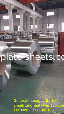 JIS G3303 EN10202 এবং ASTM624 স্ট্যান্ডার্ড টিনপ্লেট শীটগুলি রাসায়নিক এবং খাদ্য ক্যানগুলির জন্য মিল কাটতে